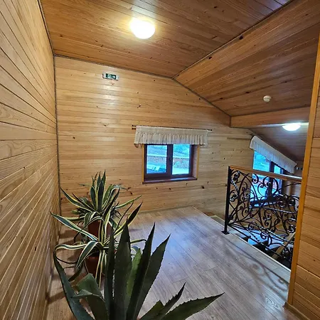 Pensiunea Ana Maria Guest house