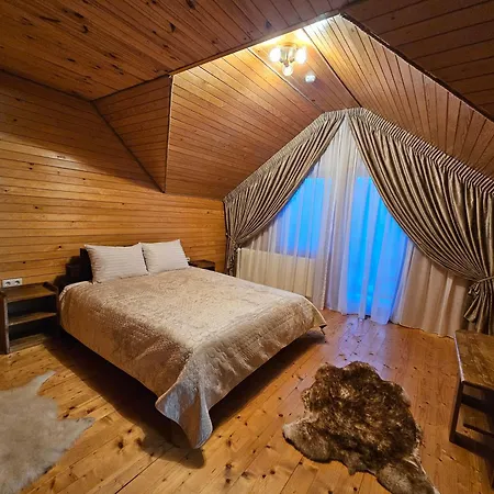 Guest house Pensiunea Ana Maria *