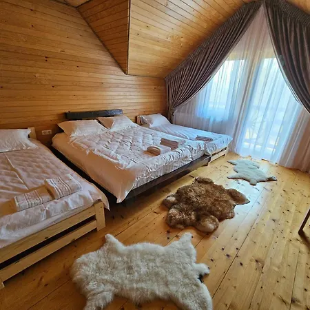 Guest house Pensiunea Ana Maria